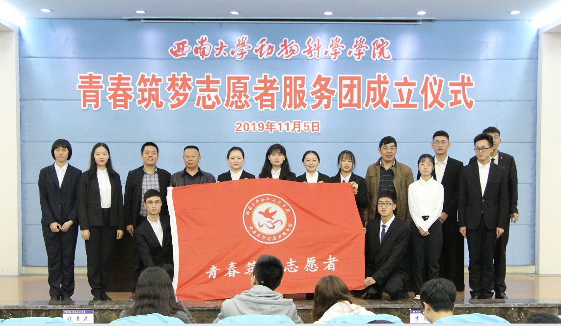 下载 (1).png