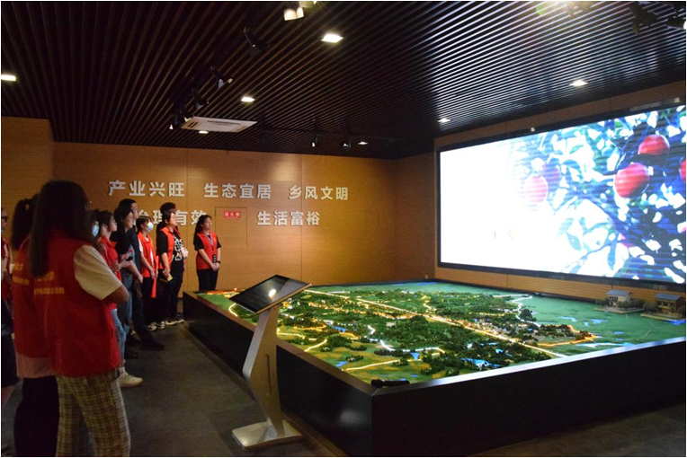 图片8.png