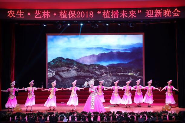 《幺妹住在十三寨》.jpg