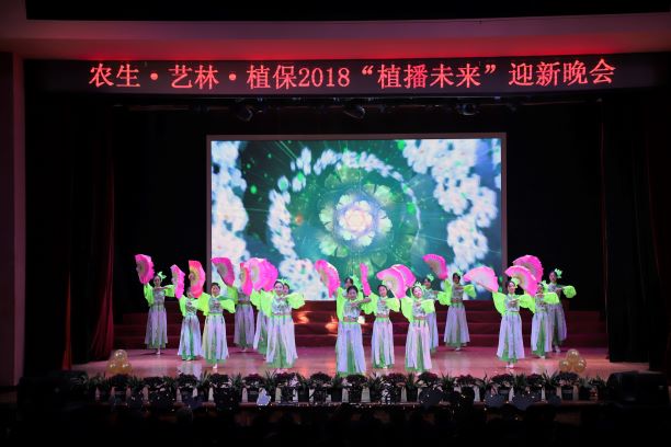 舞蹈《茉莉花》.jpg